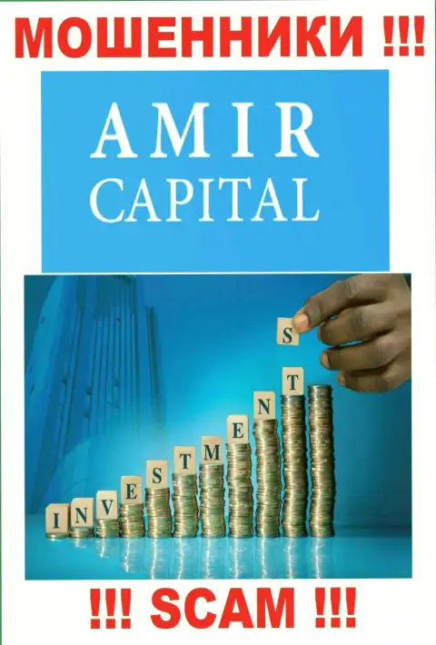 Не отдавайте финансовые средства в Amir Capital, направление деятельности которых - Инвестиции