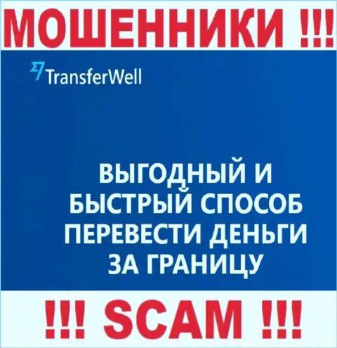 Не стоит верить, что работа TransferWell Net в сфере Система платежей законна