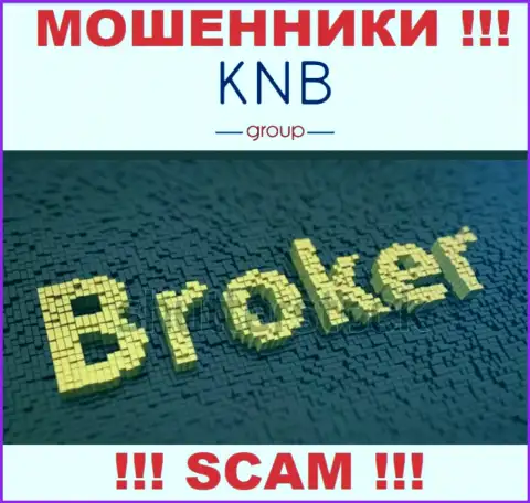 Направление деятельности противоправно действующей конторы KNB Group Limited - это Брокер