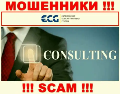 Consulting - это тип деятельности незаконно действующей организации E.C.G