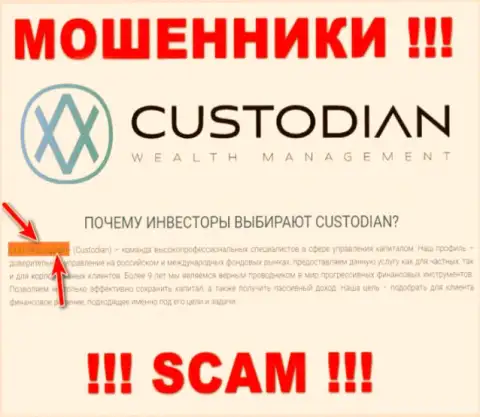 Юридическим лицом, владеющим интернет аферистами Custodian Ru, является ООО Кастодиан