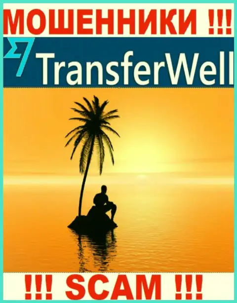 Юрисдикция TransferWell спрятана, так что перед отправкой кровных надо подумать хорошо