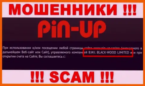 Жулики Pin-Up Casino принадлежат юр лицу - B.W.I. BLACK-WOOD LIMITED