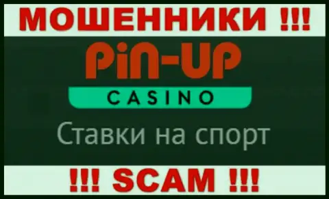 Основная деятельность Pin-Up Casino - это Casino, будьте бдительны, действуют преступно