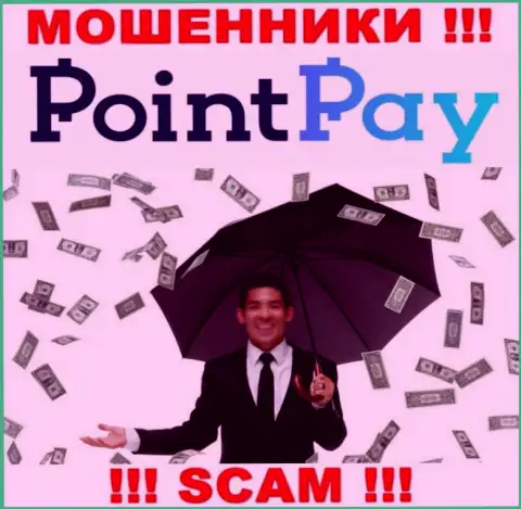 Не загремите в грязные лапы internet-мошенников PointPay, денежные активы не вернете