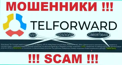 На веб-ресурсе TelForward Net есть лицензионный номер, но это не отменяет их мошенническую суть