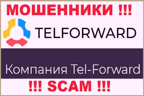 Юридическое лицо Тел Форвард - это Tel-Forward, именно такую инфу оставили мошенники у себя на ресурсе