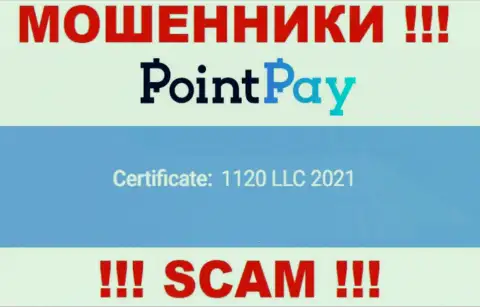 Регистрационный номер ПоинтПей, который показан мошенниками у них на сайте: 1120 LLC 2021
