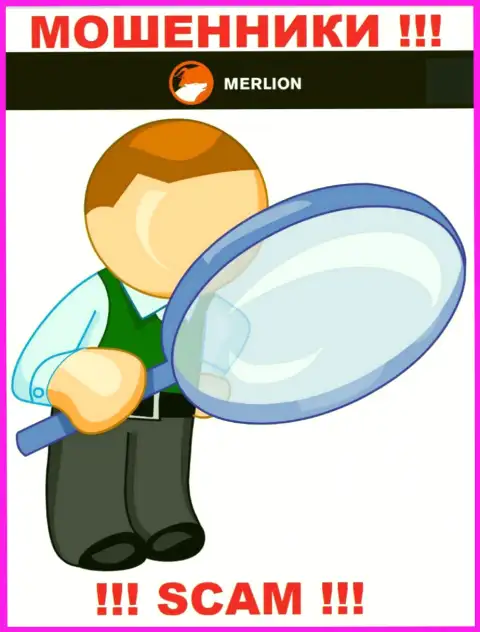 Так как деятельность Merlion-Ltd абсолютно никто не регулирует, а следовательно иметь дело с ними весьма рискованно