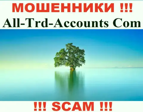 All Trd Accounts крадут денежные средства и выходят сухими из воды - они скрыли сведения о юрисдикции