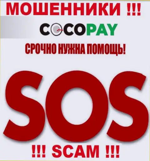 Можно еще попытаться забрать обратно финансовые вложения из конторы Coco Pay Com, обращайтесь, разузнаете, что делать