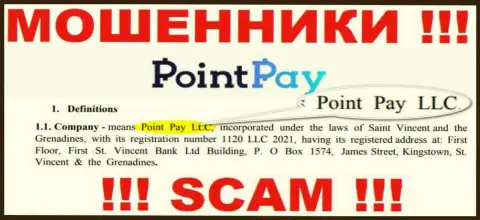 Point Pay LLC - это контора, управляющая интернет мошенниками PointPay Io