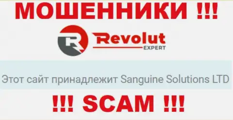 Информация о юридическом лице internet-мошенников RevolutExpert Ltd
