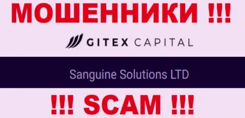 Юридическое лицо GitexCapital - это Sanguine Solutions LTD, именно такую инфу представили мошенники у себя на информационном сервисе