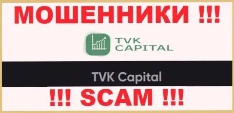 TVK Capital - это юридическое лицо internet-жуликов TVKCapital