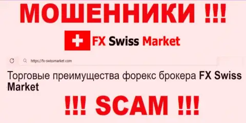 Род деятельности FX-SwissMarket Ltd: ФОРЕКС - хороший заработок для ворюг