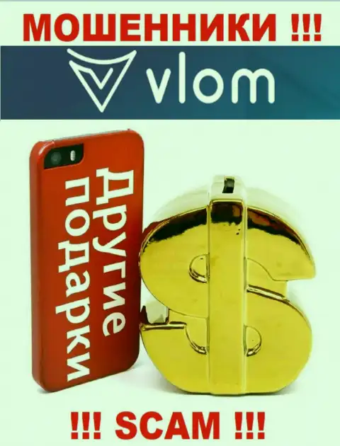 Будьте крайне внимательны, в организации Vlom Com присваивают и первоначальный депозит и дополнительные платежи
