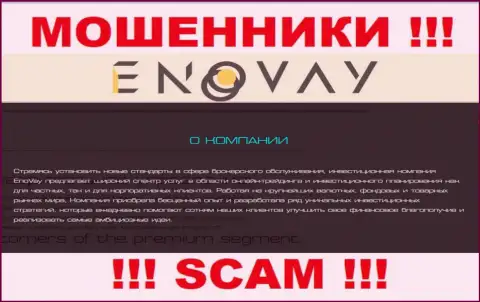 Так как деятельность internet махинаторов EnoVay Com - это обман, лучше совместного сотрудничества с ними избегать