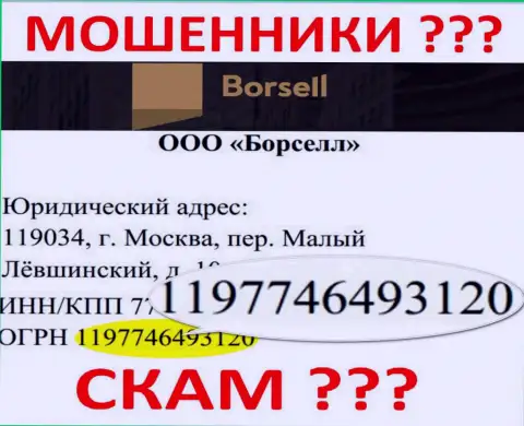 Регистрационный номер мошеннической организации Борселл Ру - 1197746493120