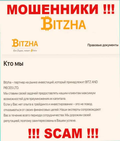 Bitzha24 - это типичные интернет мошенники, сфера деятельности которых - Инвестиции