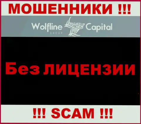 Невозможно найти данные об лицензии internet мошенников Wolfline Capital - ее просто не существует !!!