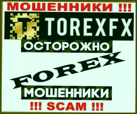Сфера деятельности TorexFX 42 Marketing Limited: ФОРЕКС - отличный заработок для интернет жуликов